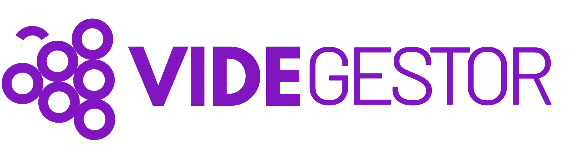 Vide Gestor